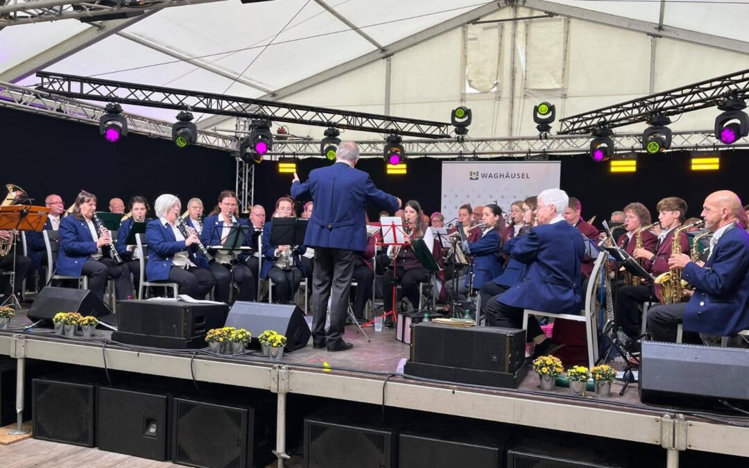 Stadtfest Stadt Waghäusel